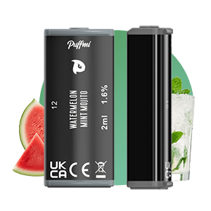 Watermelon  Mint Mojito