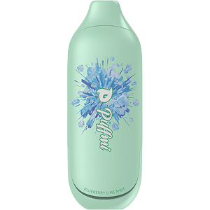 BLUEBERRY LIME MINT